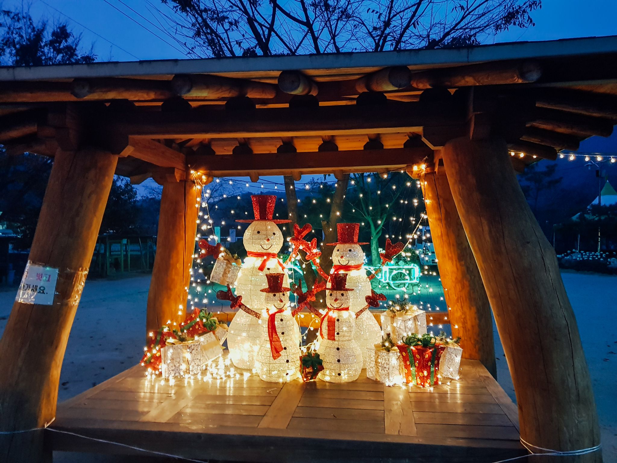 은은한 빛축제 09